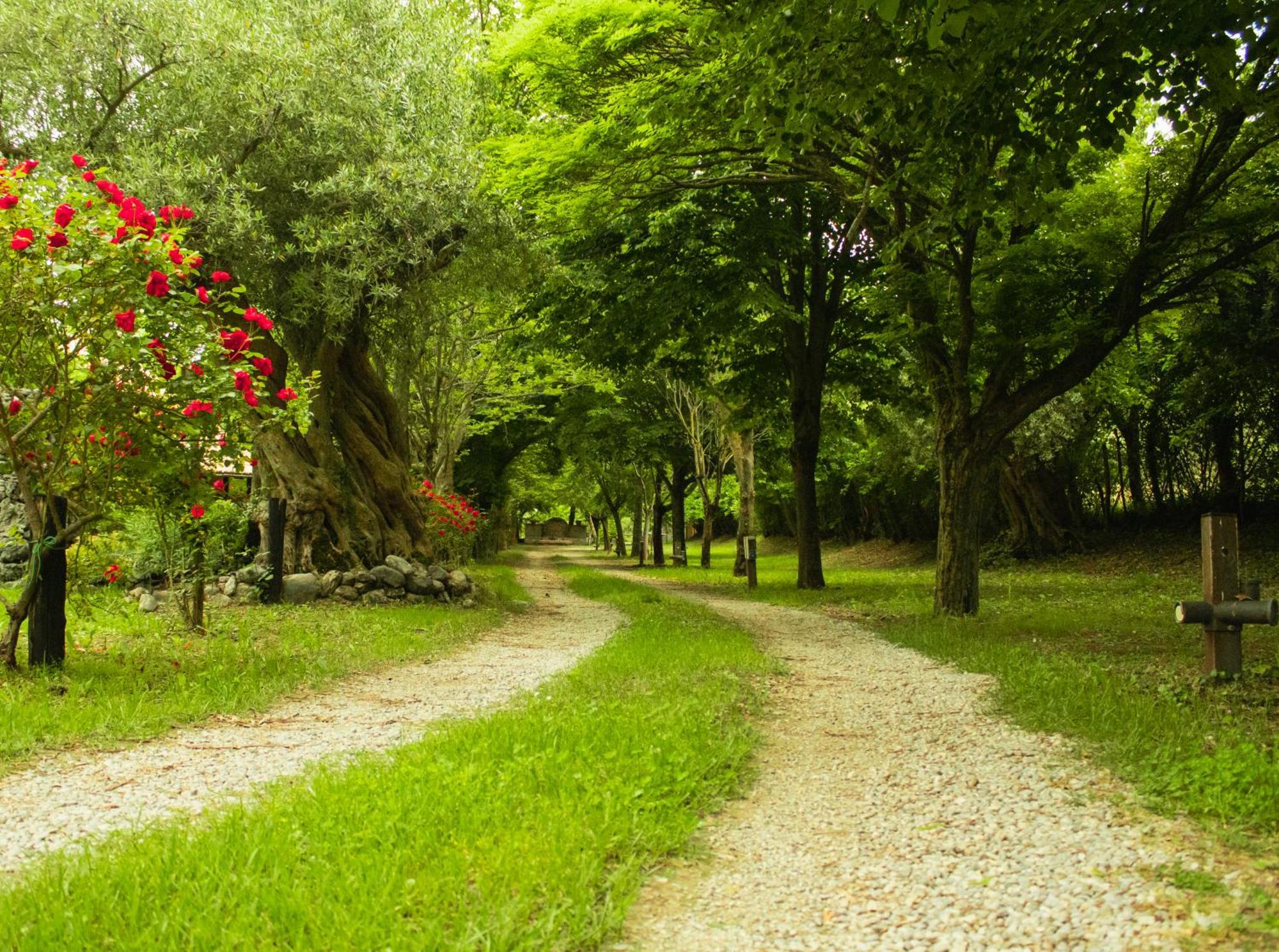 Ciclopark Morano Calabroヴィラ エクステリア 写真